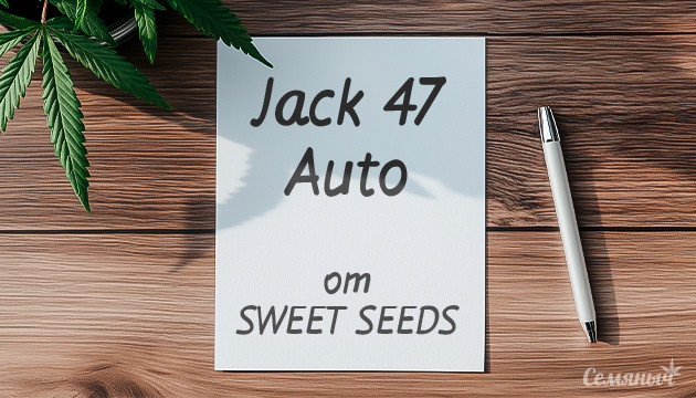 Гроурепорт Jack 47 Auto fem от Sweet Seeds